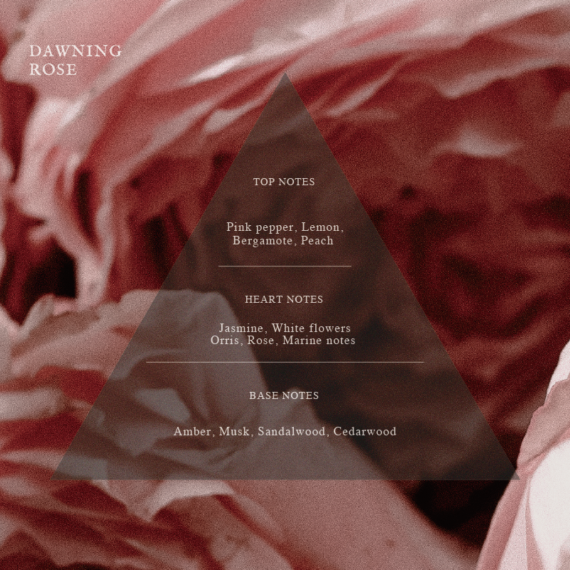 ARTiS di Voce NOURISHING HAND CREAM - DAWNING ROSE 3303n