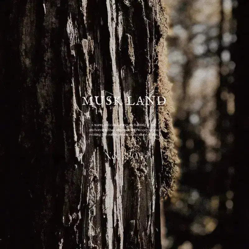 ARTiS di Voce FABRIC SPRAY 10g - MUSK LAND 3304 ARTiS di Voce