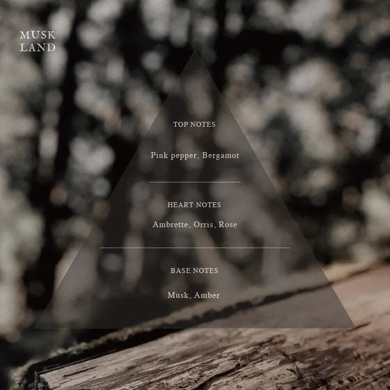 ARTiS di Voce HYDRATING BODY LOTION 100g - MUSK LAND 3304 ARTiS di Voce