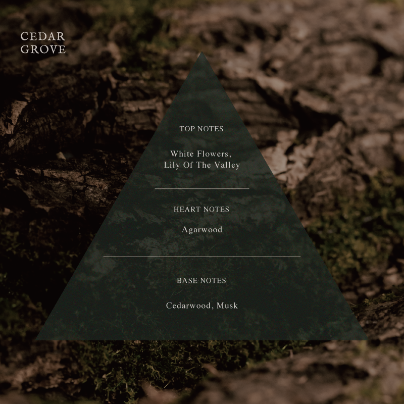 ARTiS di Voce HYDRATING HAND CREAM - CEDAR GROVE 3305