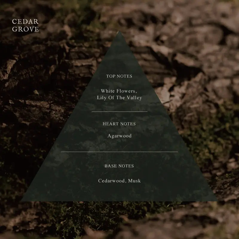 ARTiS di Voce NOURISHING NAIL OIL 10ml - CEDAR GROVE 3305 ARTiS di Voce