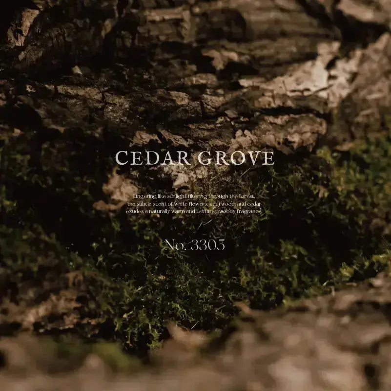 ARTiS di Voce PERFUME NAIL OIL 5ml - CEDAR GROVE 3305 ARTiS di Voce