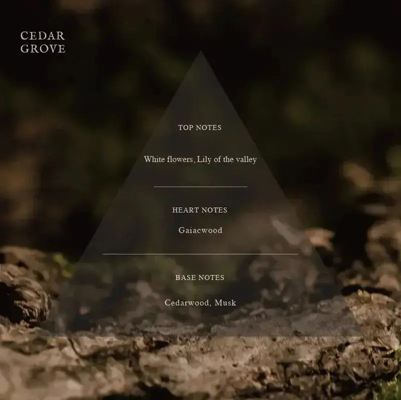 ARTiS di Voce NAIL SERUM 10ml - CEDAR GROVE 3305 ARTiS di Voce