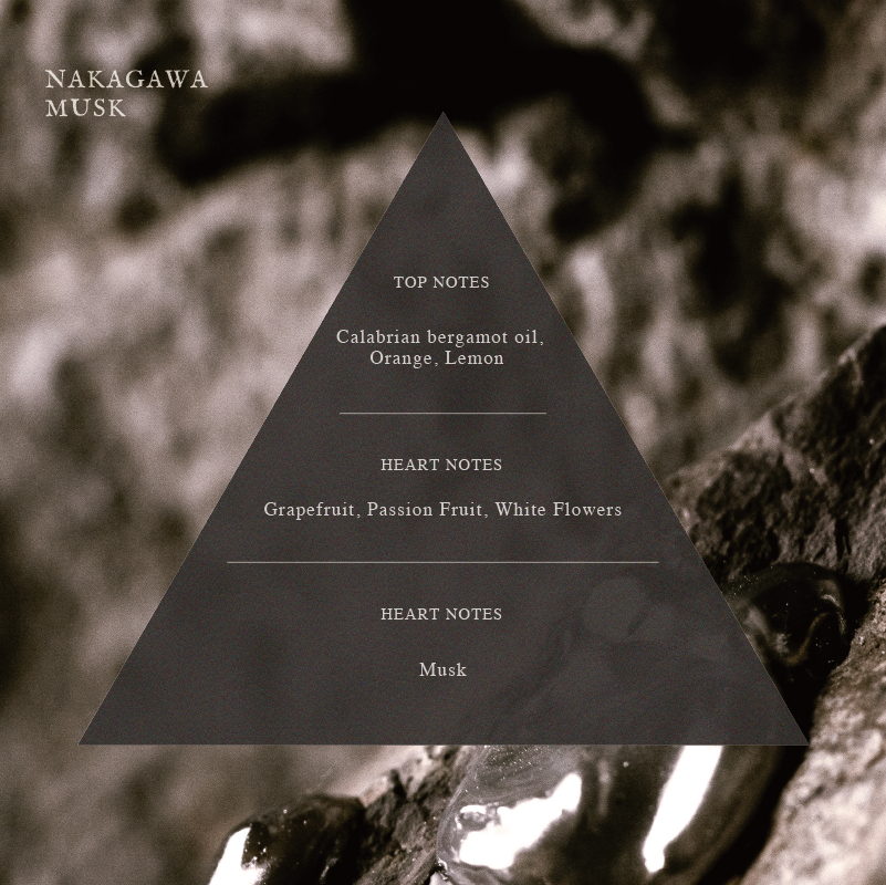 ARTiS di Voce PERFUME NAIL OIL - 3310 NAKAGAWA MUSK