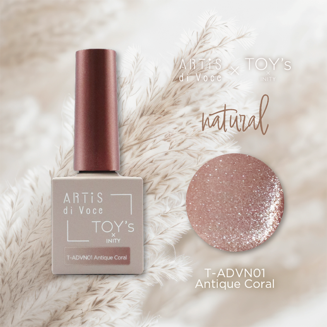 ARTiS di Voce × TOY'S by INITY - ADVN01