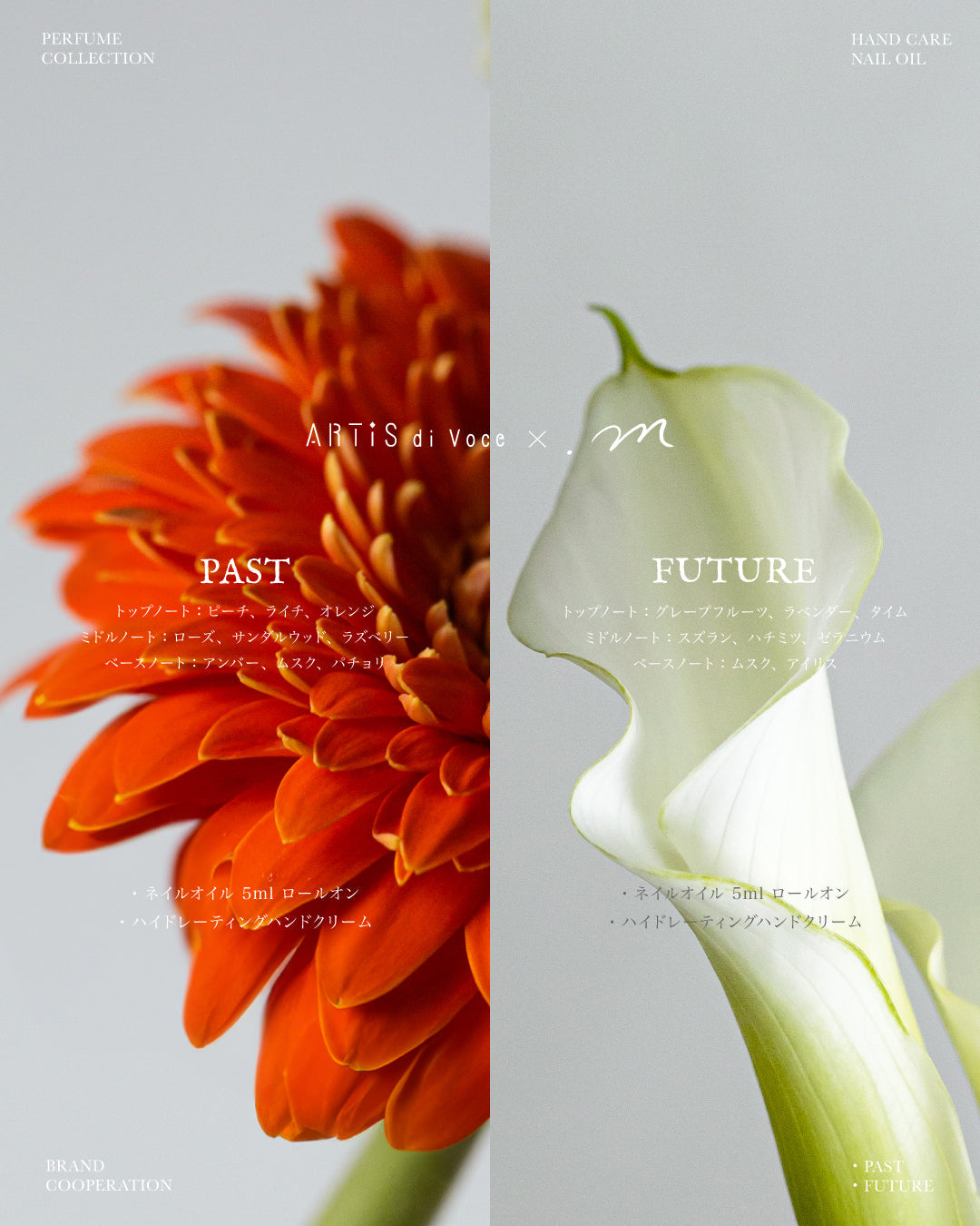 ARTiS di Voce x .m HYDRATING HAND CREAM - PAST ARTiS di Voce