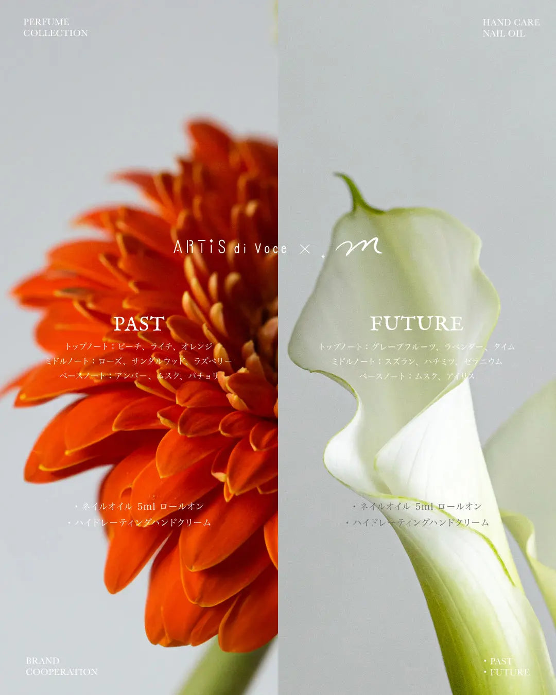 ARTiS di Voce x .m HYDRATING HAND CREAM - PAST ARTiS di Voce