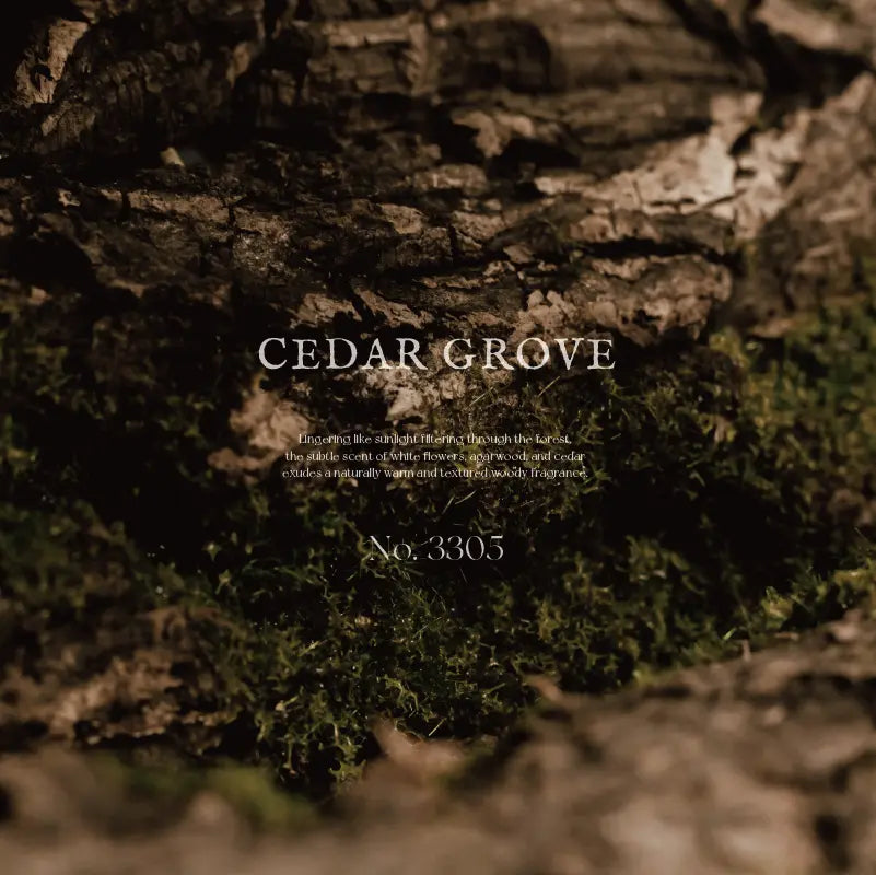 ARTiS di Voce PERFUME NAIL OIL 17ml - CEDAR GROVE 3305 ARTiS di Voce