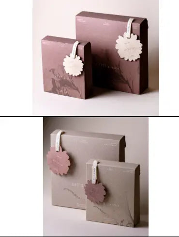 Soft box (M) ARTiS di Voce