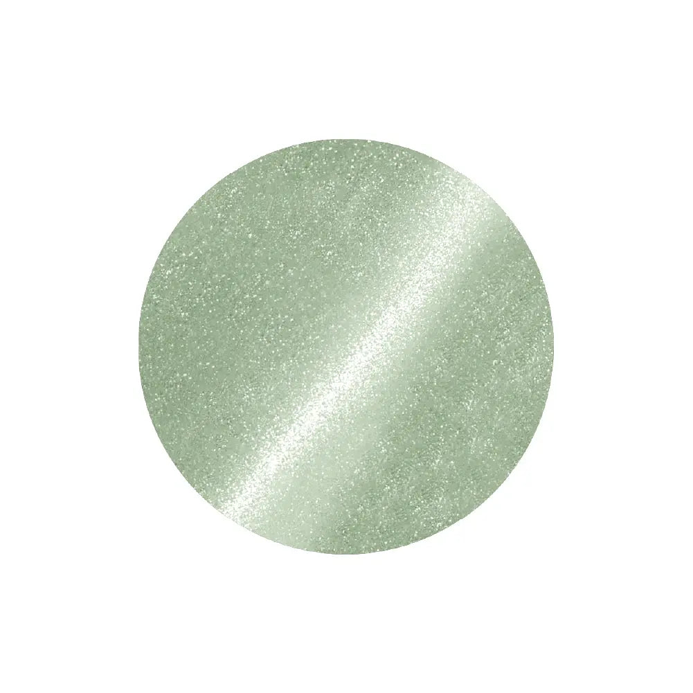 ARTiS di Voce x Tomoya Nakagawa Brush On Color Gel TN10 ARTiS di Voce