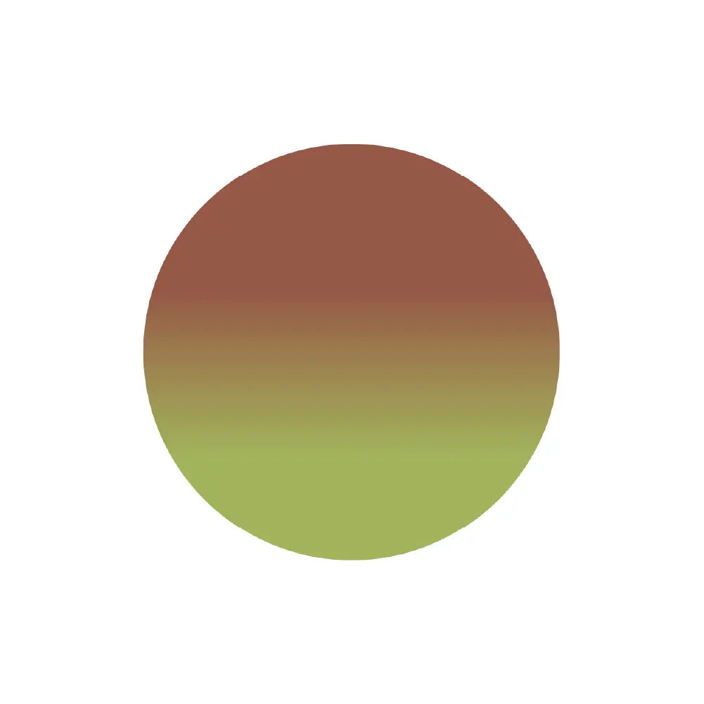 ARTiS di Voce x Tomoya Nakagawa Brush On Color Gel TN20 ARTiS di Voce