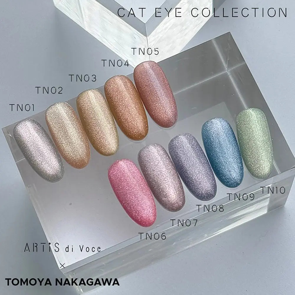 ARTiS di Voce x Tomoya Nakagawa Brush On Color Gel TN10 ARTiS di Voce